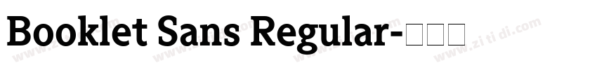 Booklet Sans Regular字体转换